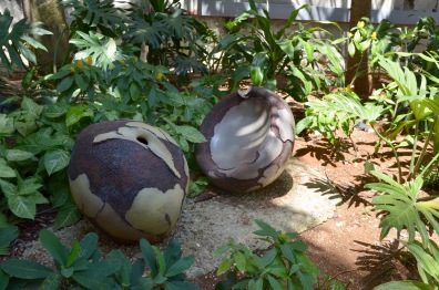 Jardin Teresa de Calcutta smushed gourd